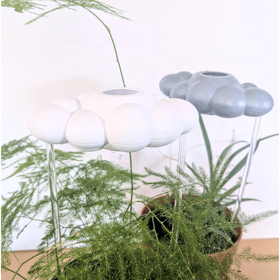 Original Dripping Rain Cloud- The Cloud Makers - Plantflix