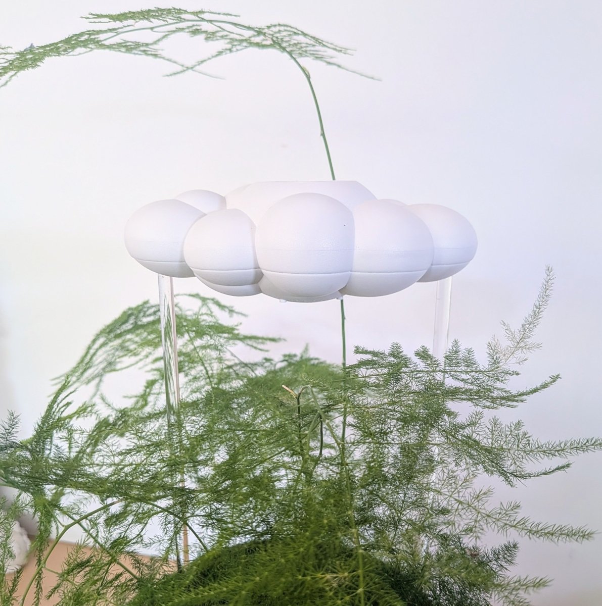 Original Dripping Rain Cloud- The Cloud Makers - Plantflix