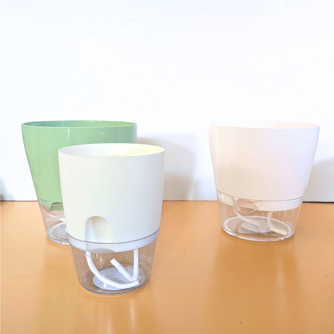 Padua Self-Watering Planter- Lost in the Forrest - Plantflix