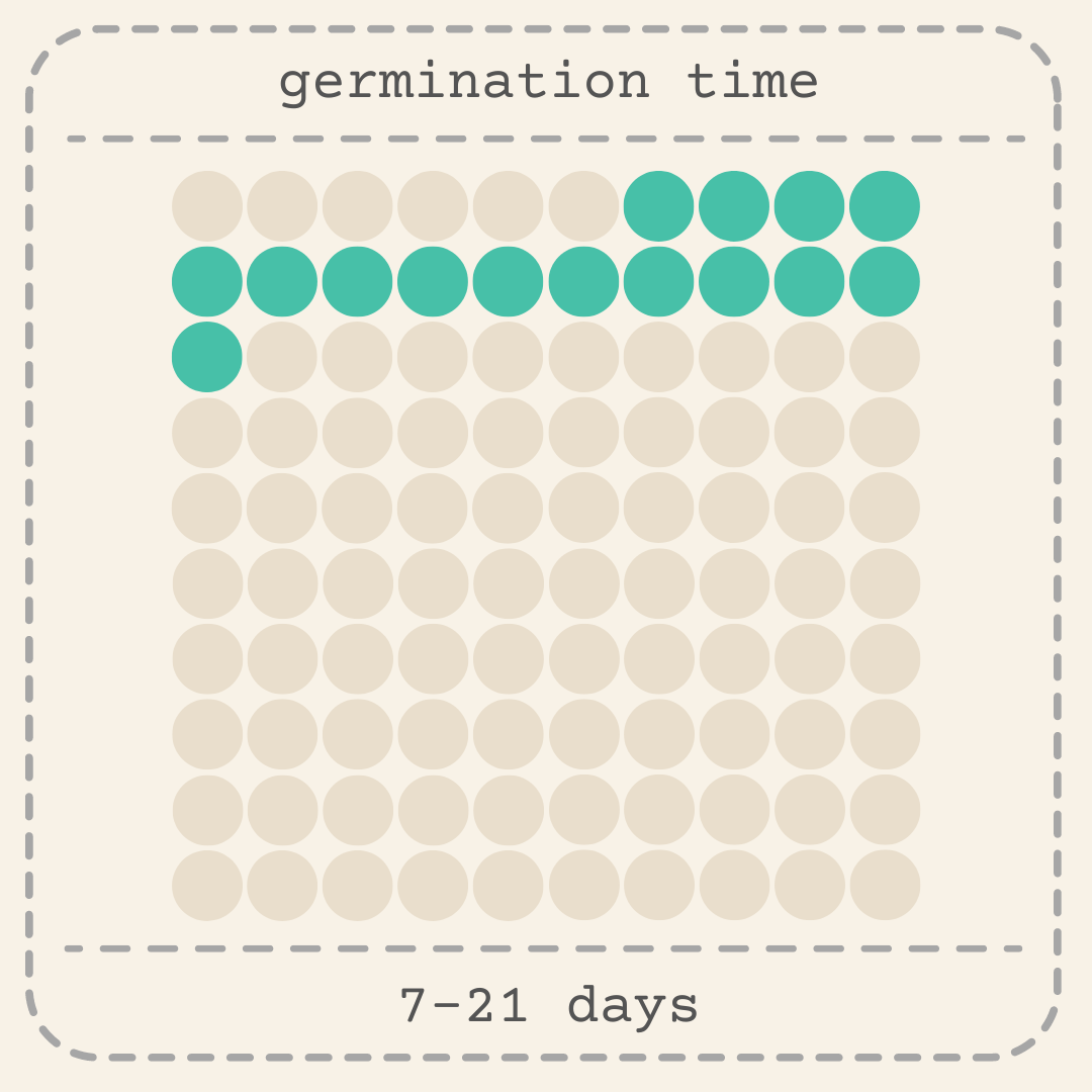 Passiflora "Passion Fruit" Seeds - Plantflix