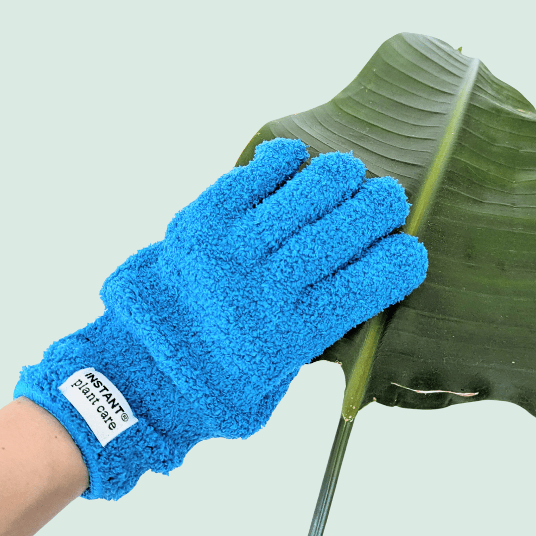 Plant Care Gloves - Instant Plant Care - Plantflix