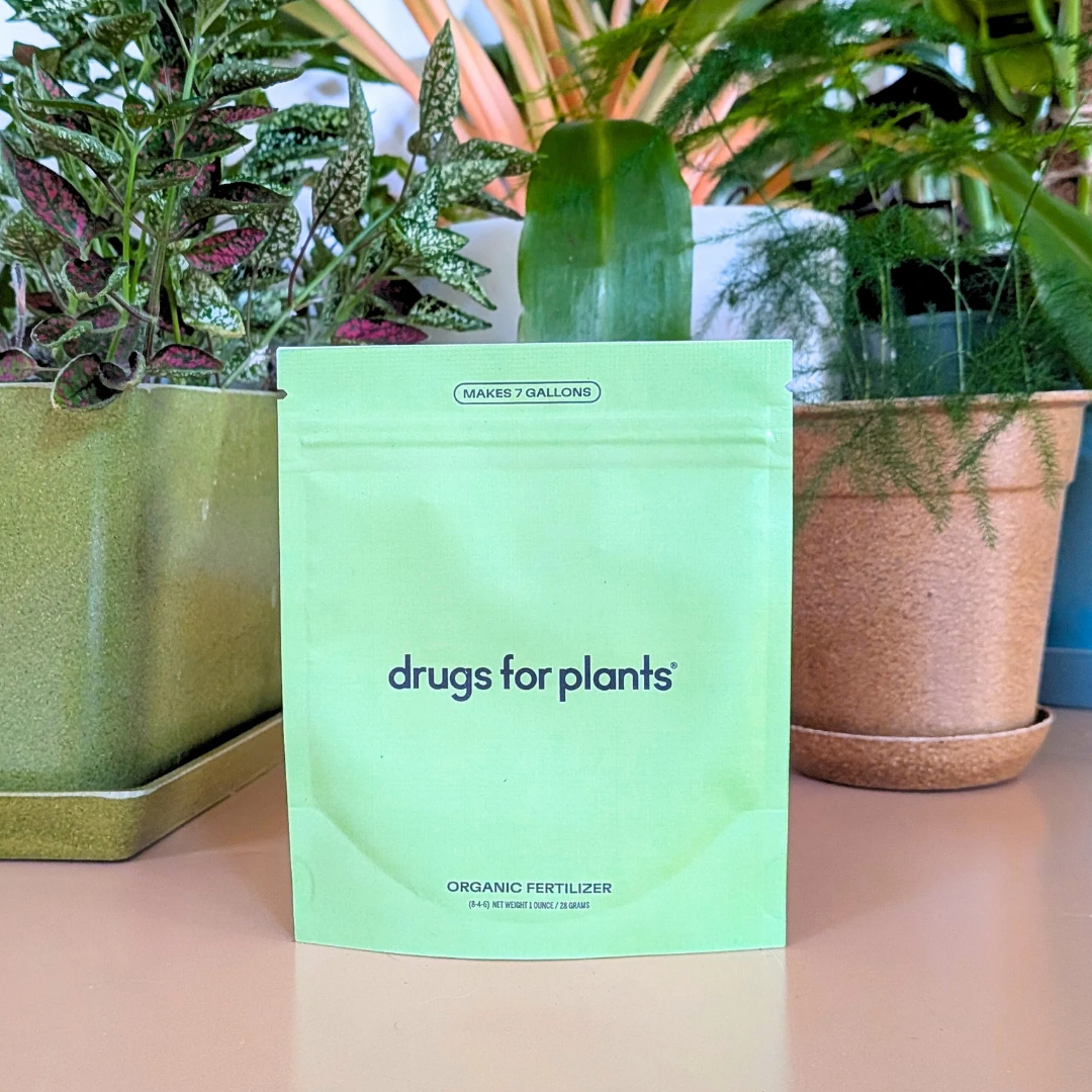 Plant Food Powder - Drugs for Plants - Plantflix