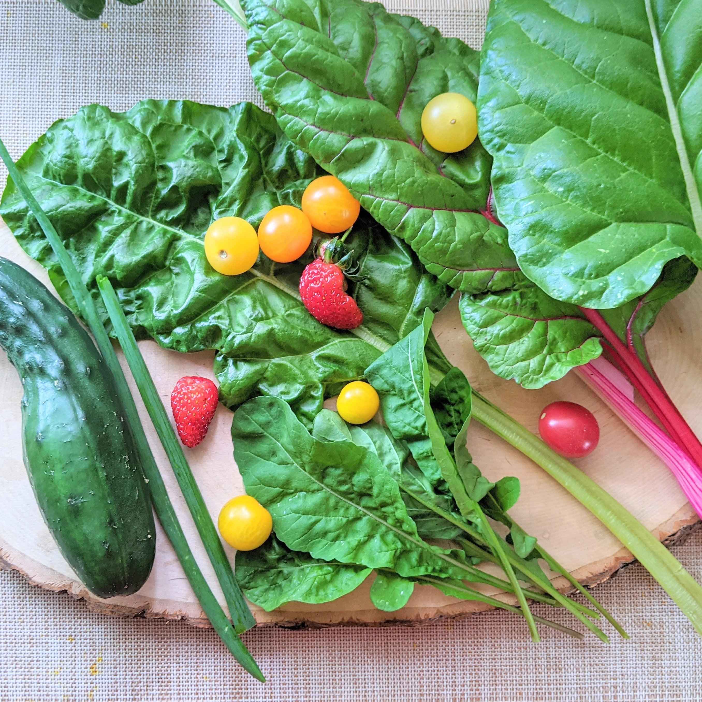 "Plant Projects" Home Garden Subscription Box