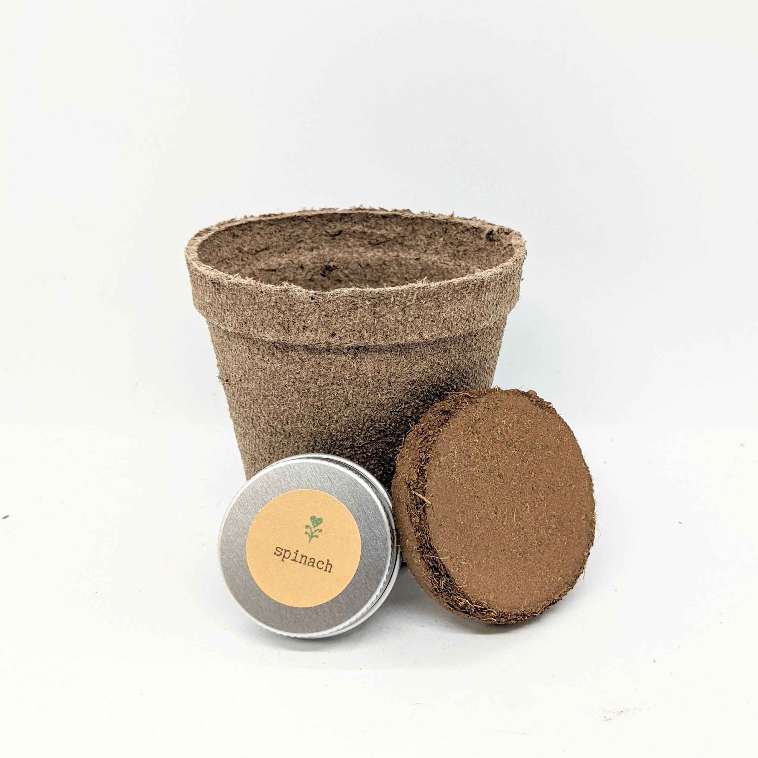 "Plant Projects" Home Garden Subscription Box