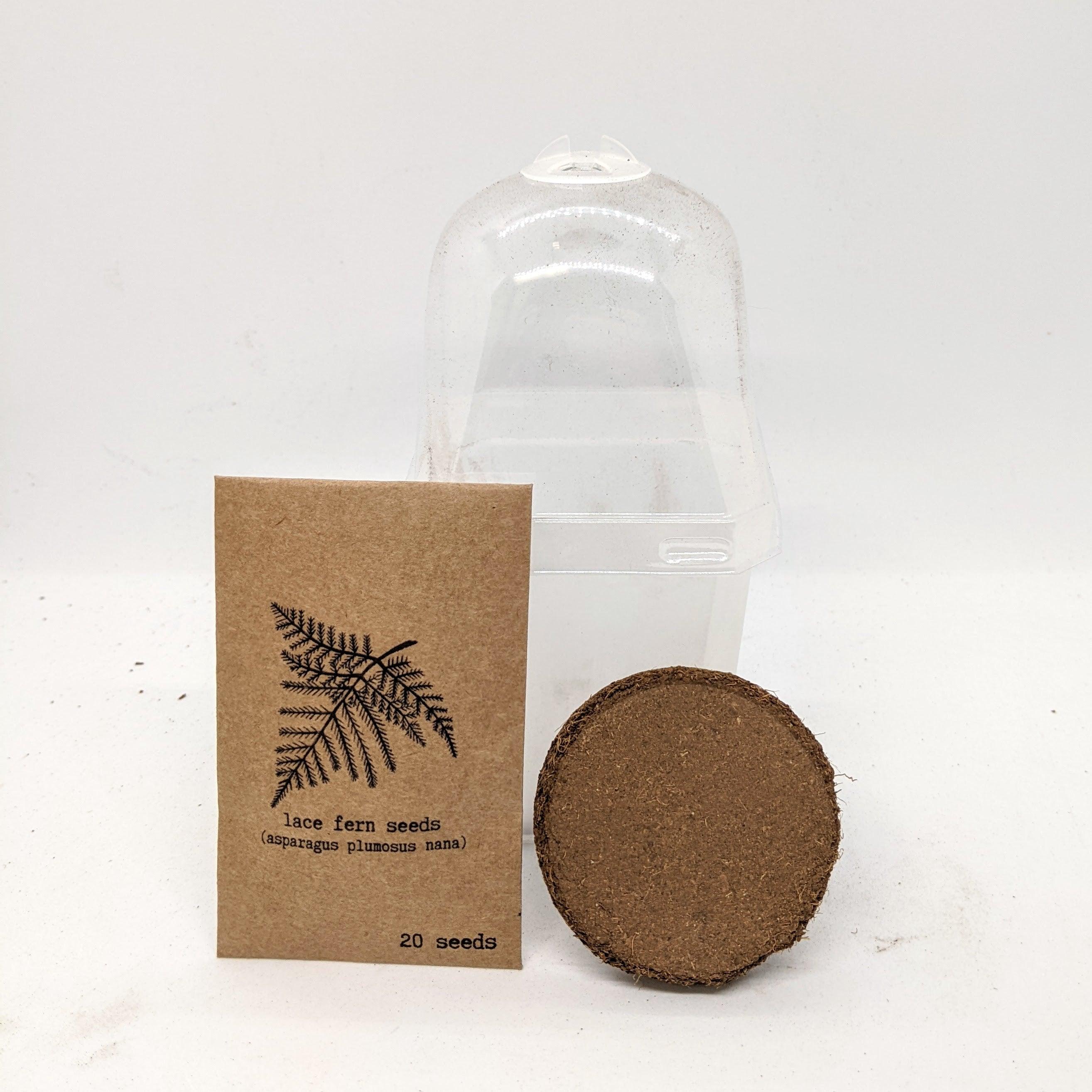 "Plant Projects" Ornamental Garden Subscription Box - Plantflix