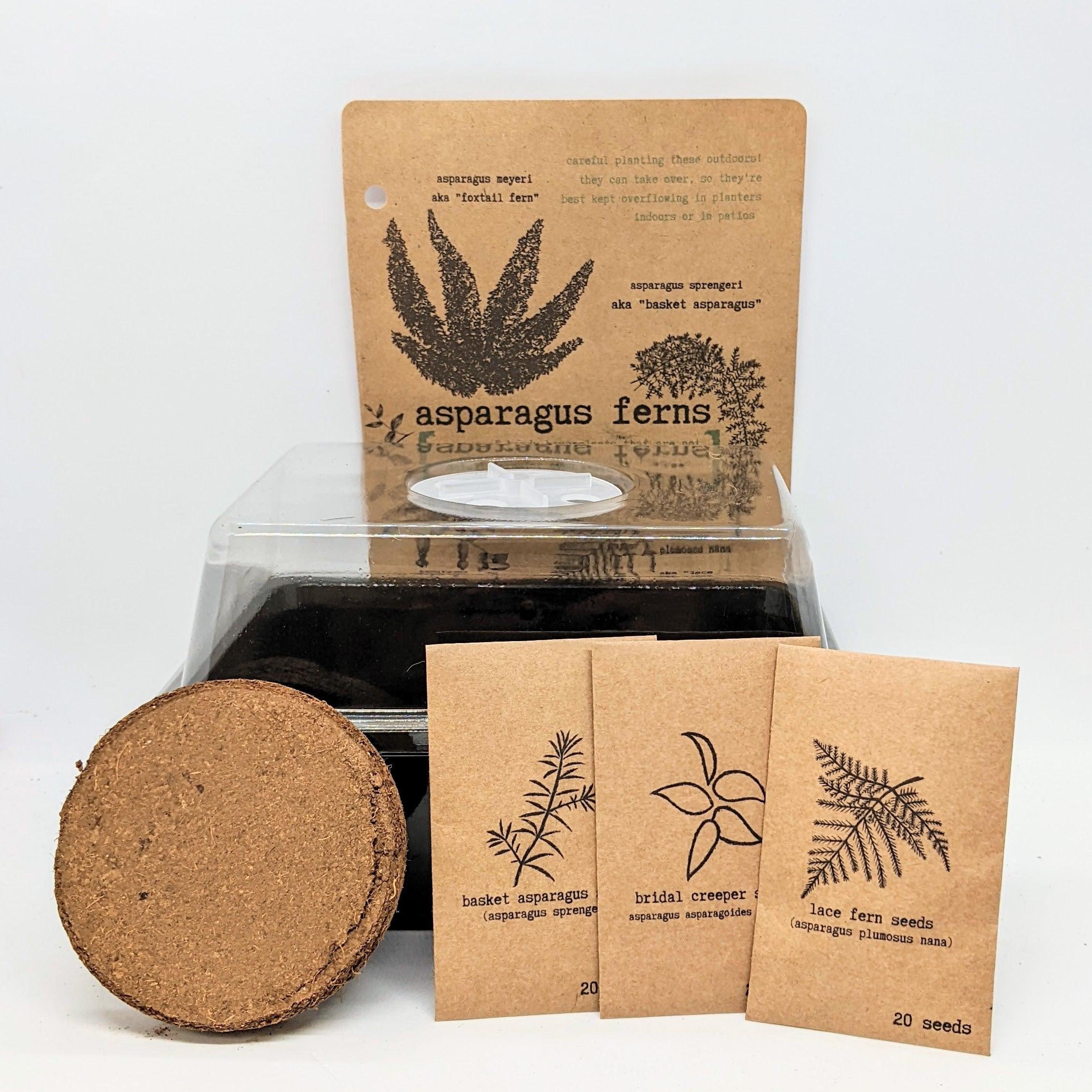 "Plant Projects" Ornamental Garden Subscription Box - Plantflix