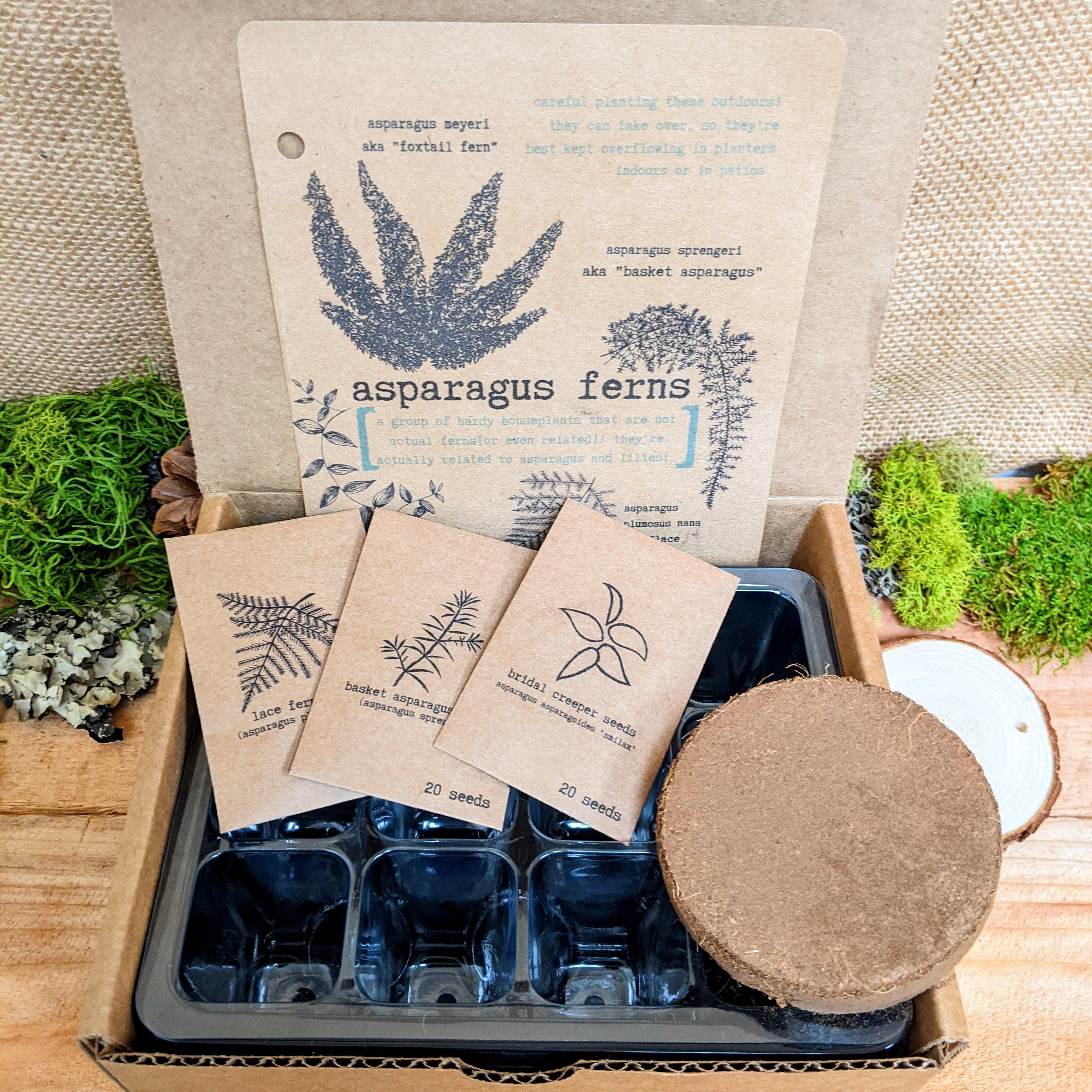"Plant Projects" Ornamental Garden Subscription Box - Plantflix