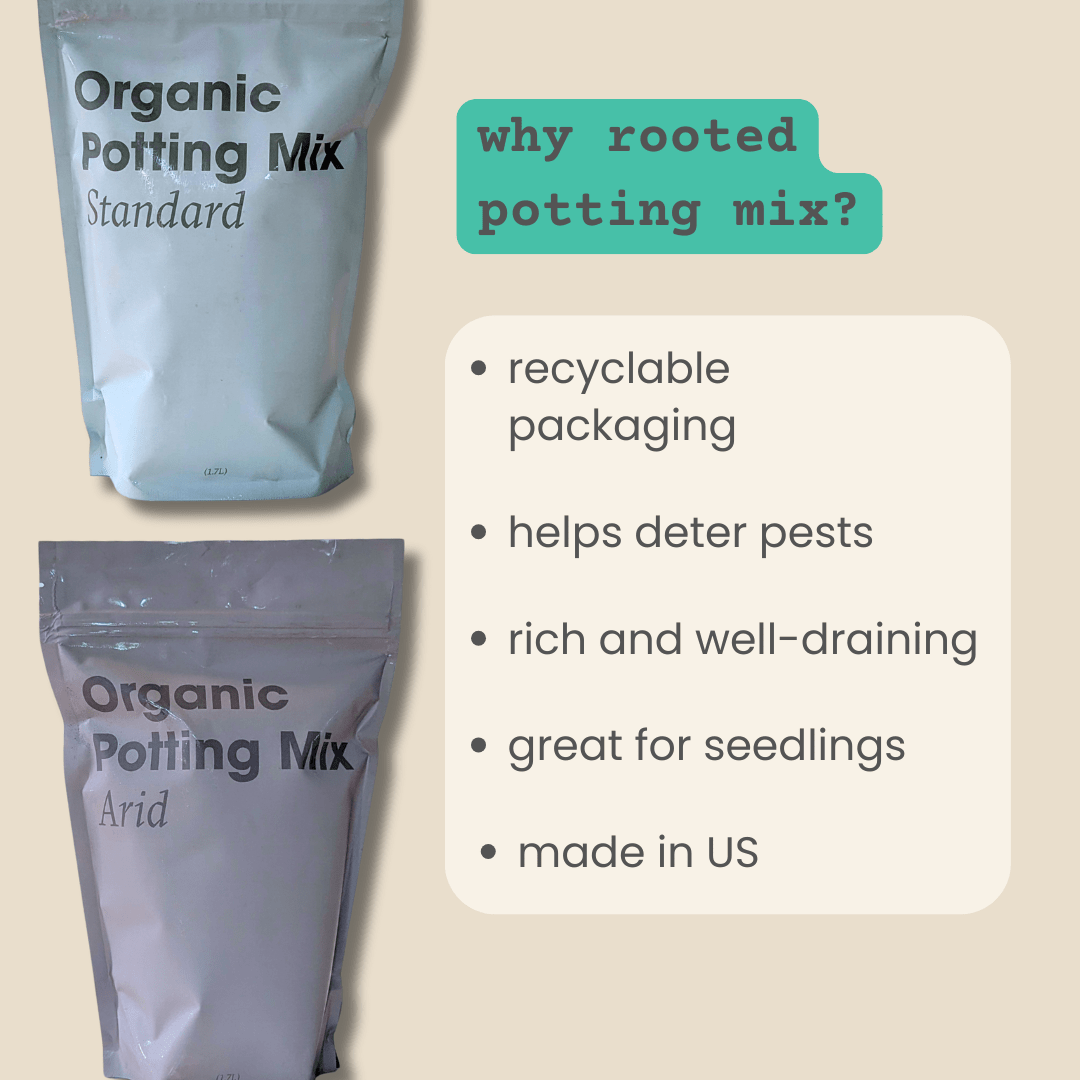 Potting Mix - Rooted - Plantflix