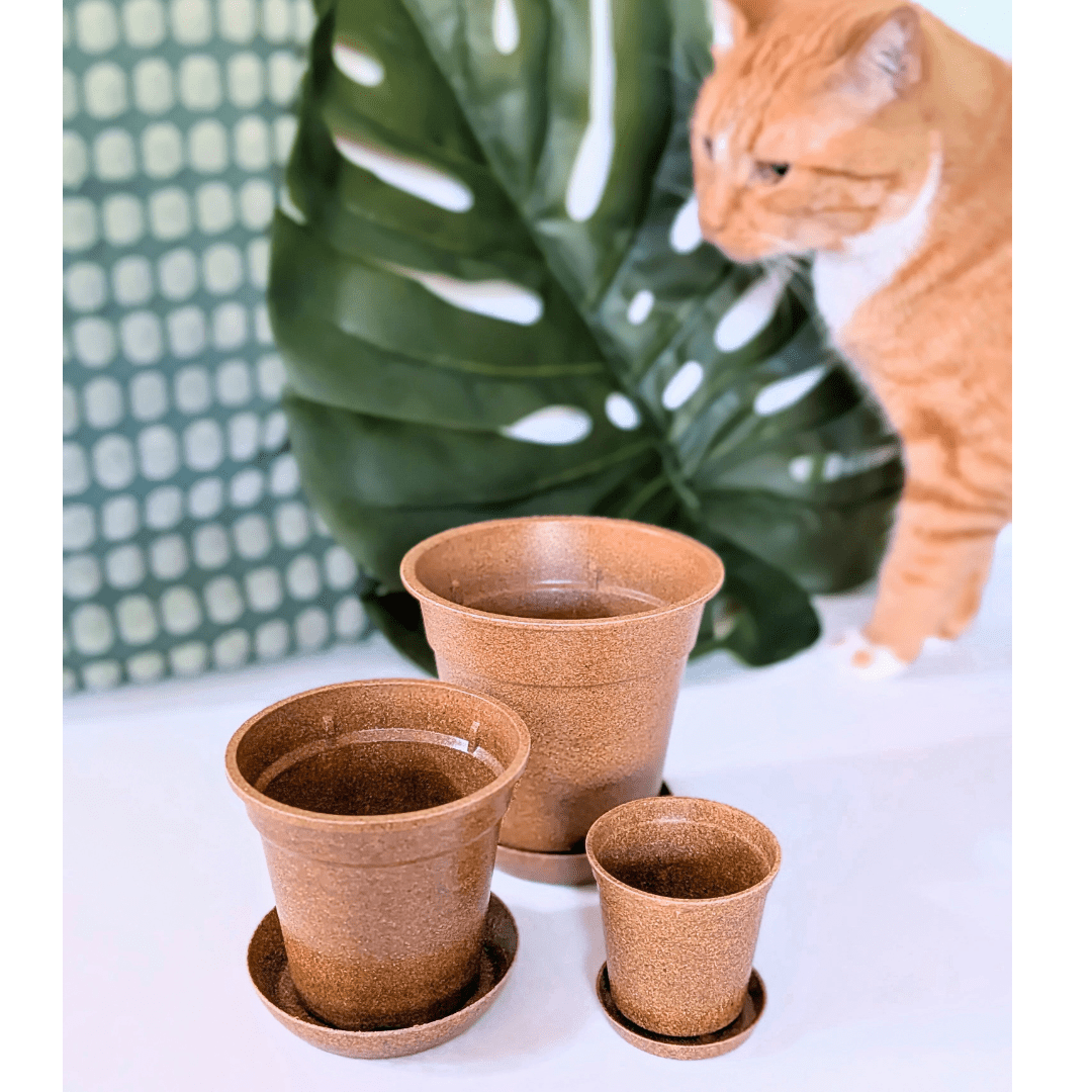 Rice Hull Nursery Planter - Long Lasting Biodegradable Planters - Plantflix