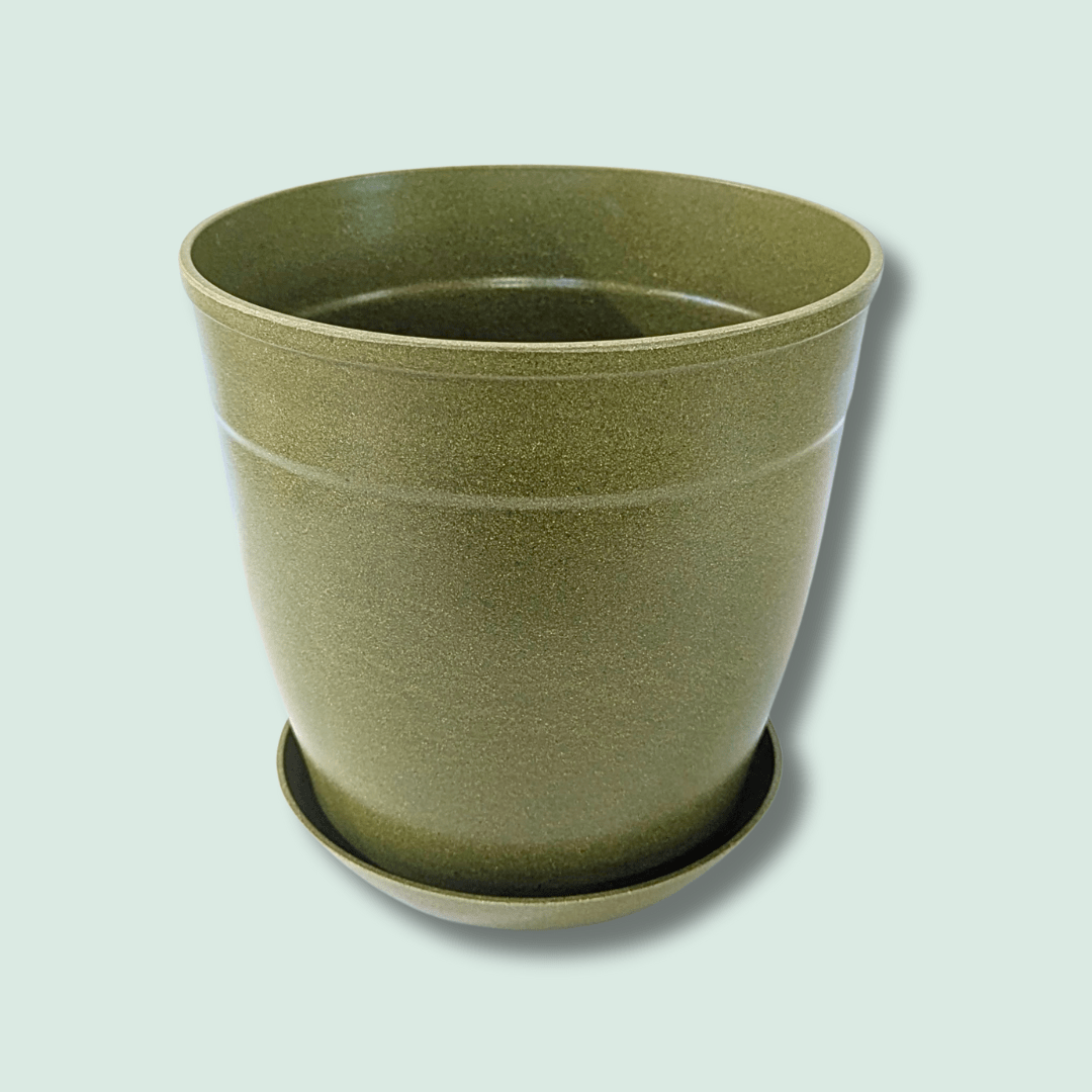 Rice Hull Planter - Long Lasting Biodegradable Planters - Plantflix