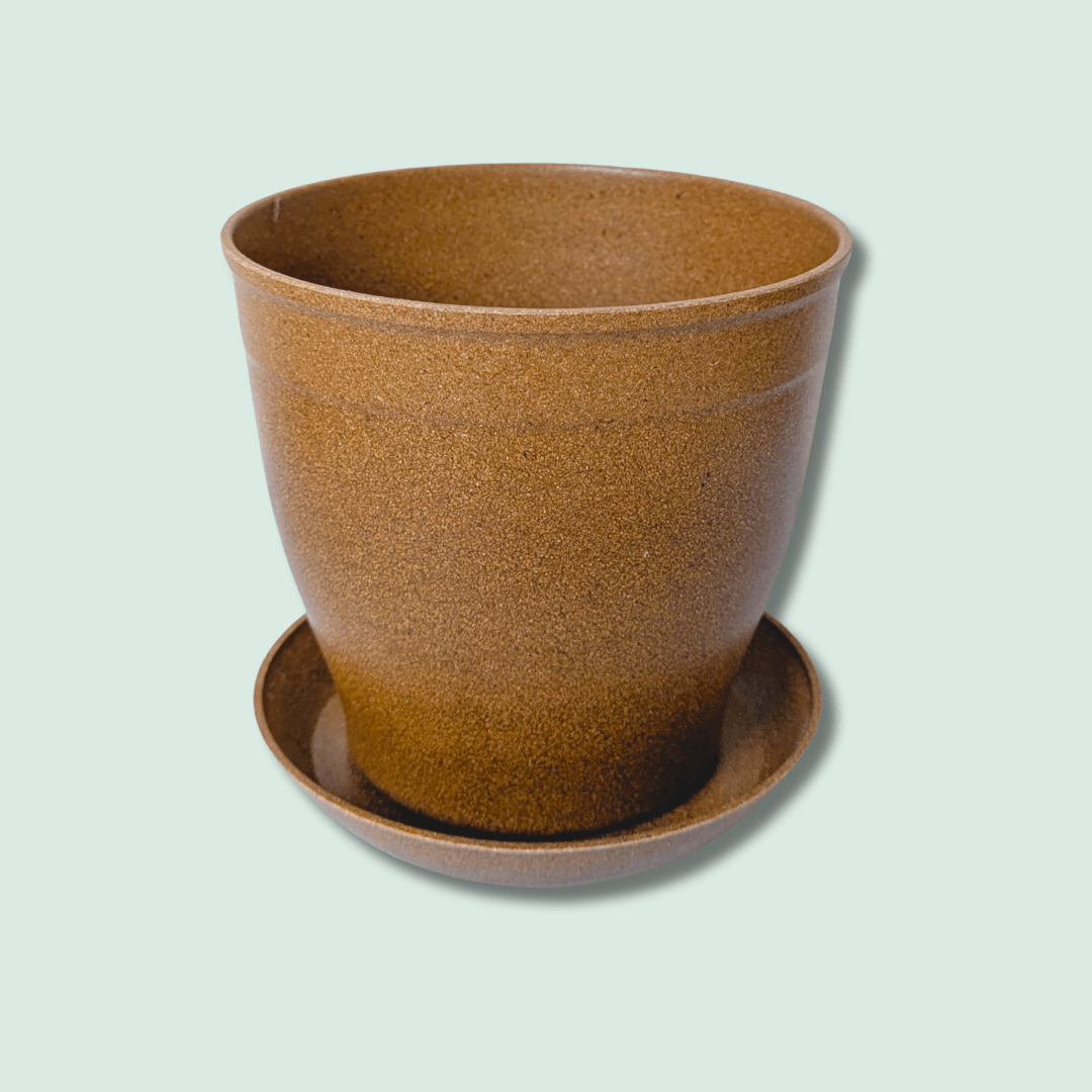 Rice Hull Planter - Long Lasting Biodegradable Planters - Plantflix