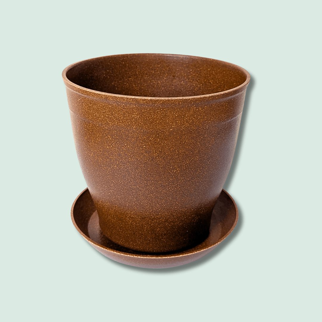 Rice Hull Planter - Long Lasting Biodegradable Planters - Plantflix