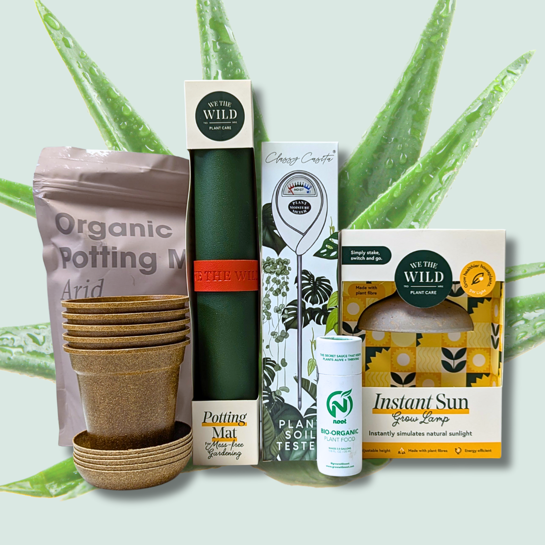 Happy Seedling Bundle