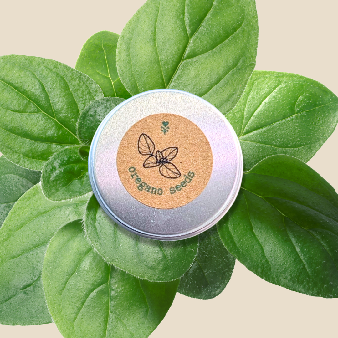 Organic Oregano Seeds