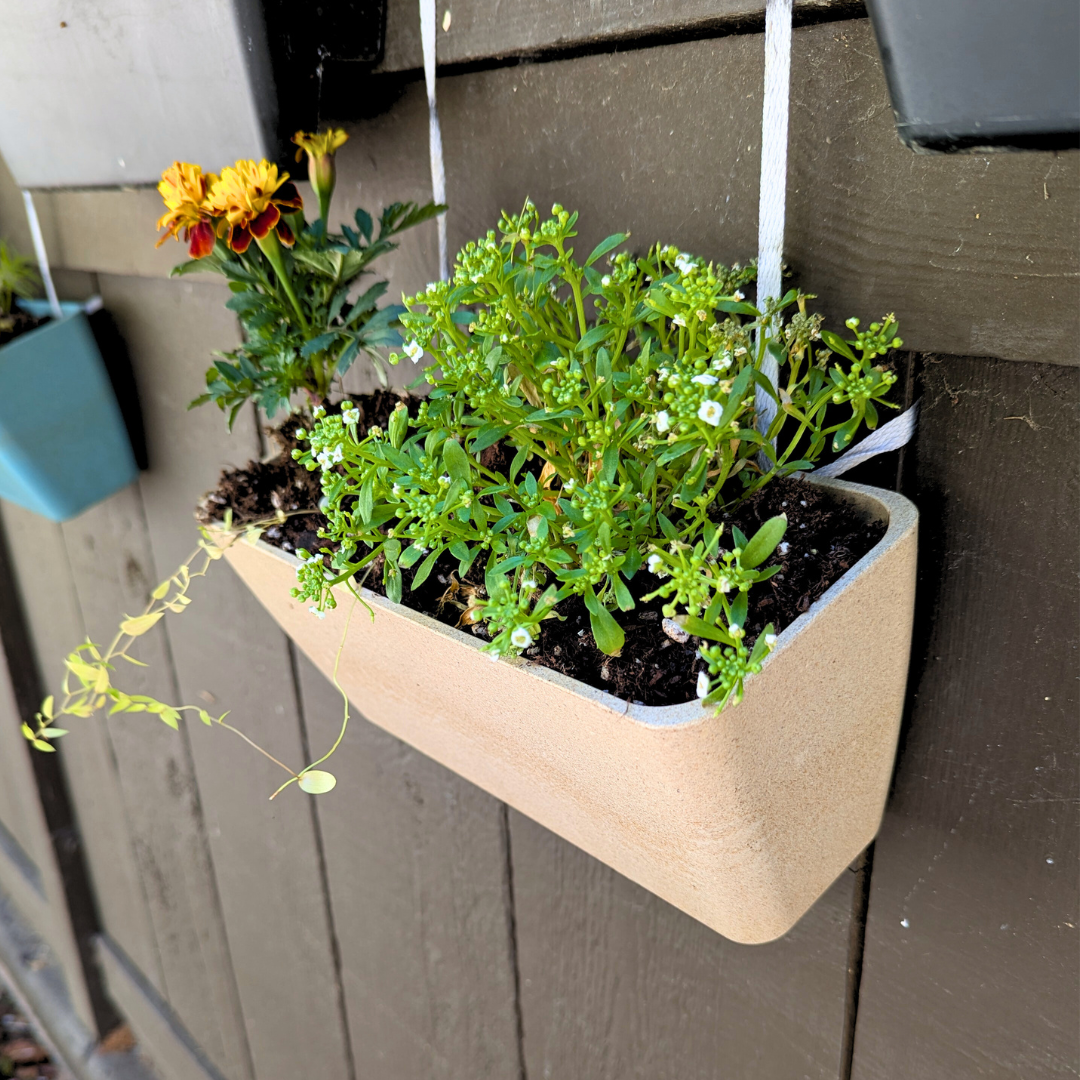Rice Hull Wall Planter