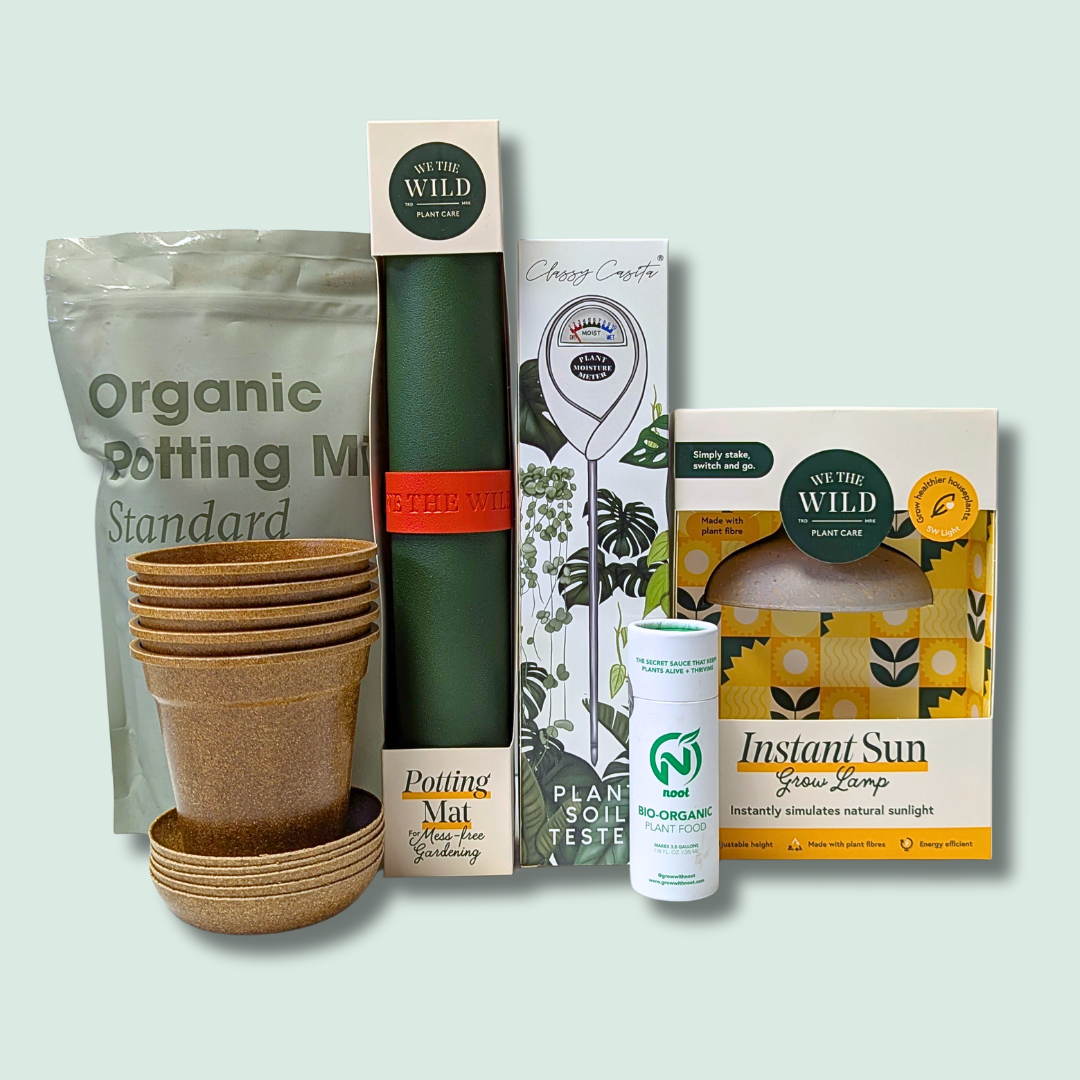 Happy Seedling Bundle