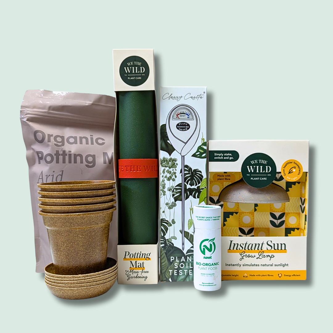 Happy Seedling Bundle