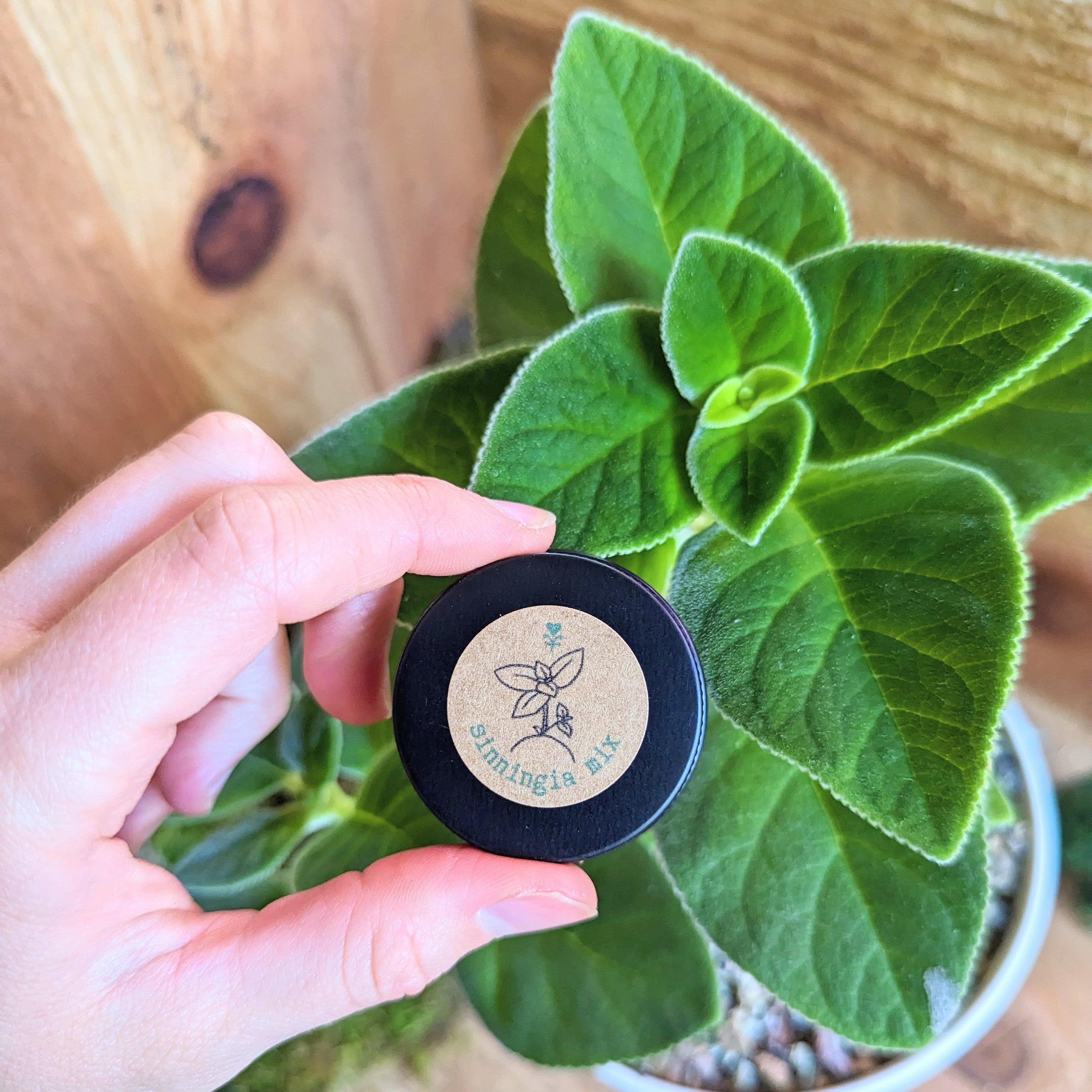 Sinningia Mix "Gloxinia" Seeds - Plantflix