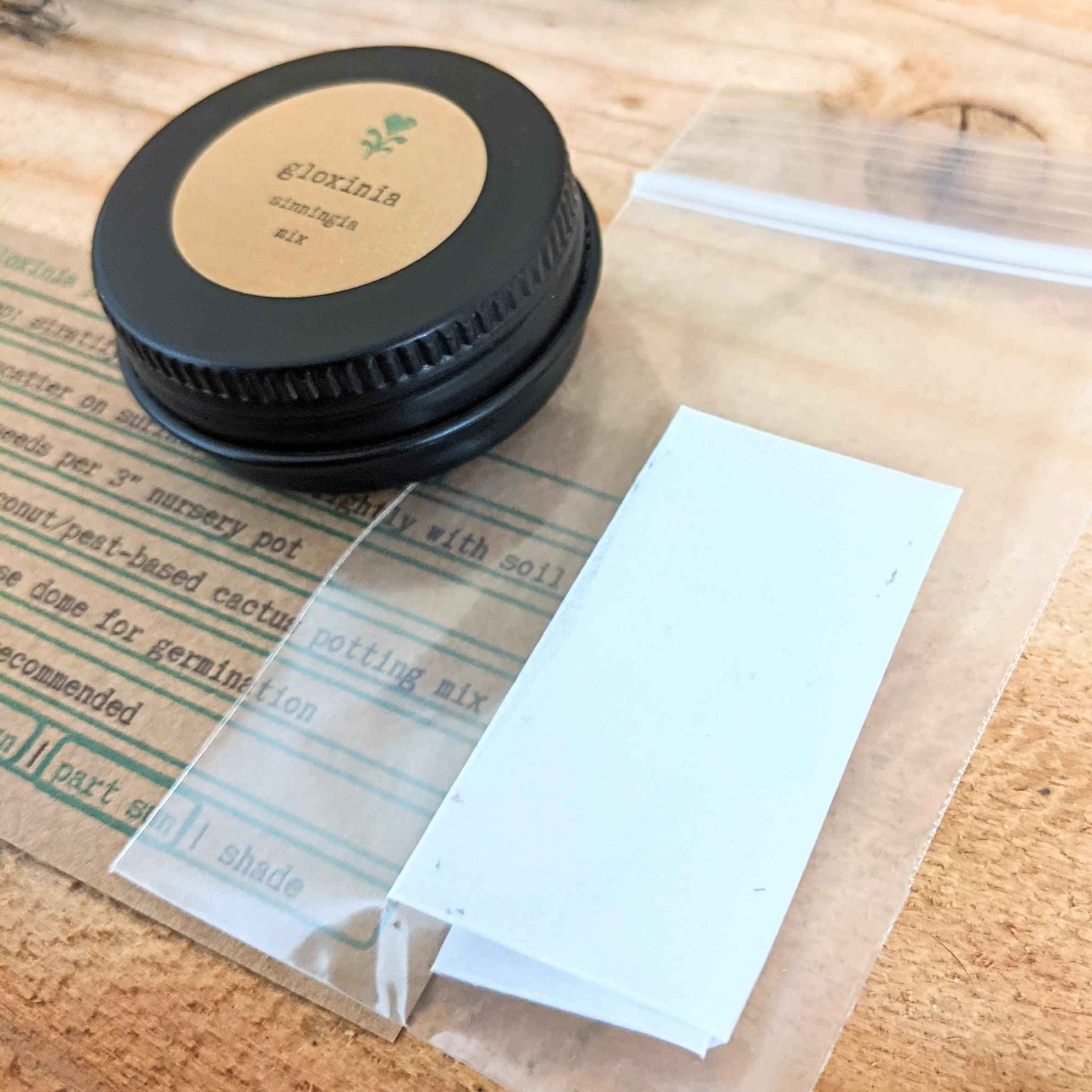 Sinningia Mix "Gloxinia" Seeds