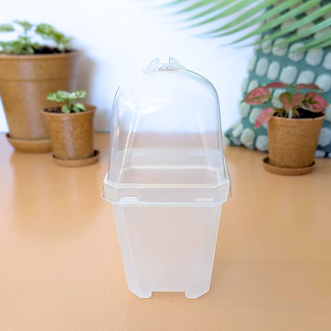 Planter with Humidity Dome