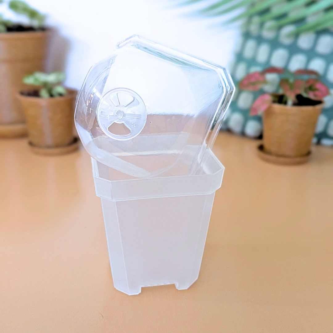 Planter with Humidity Dome