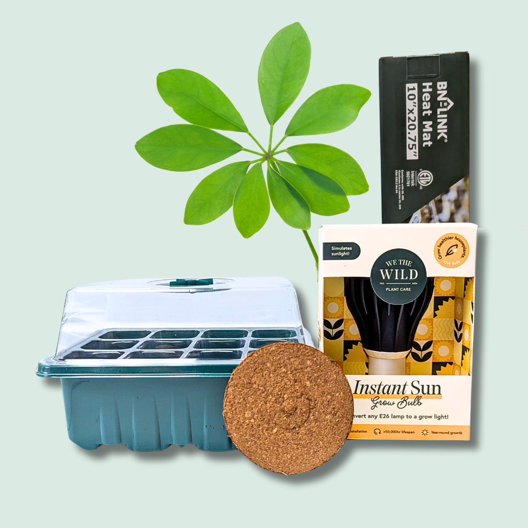Large Seed Starter Bundle