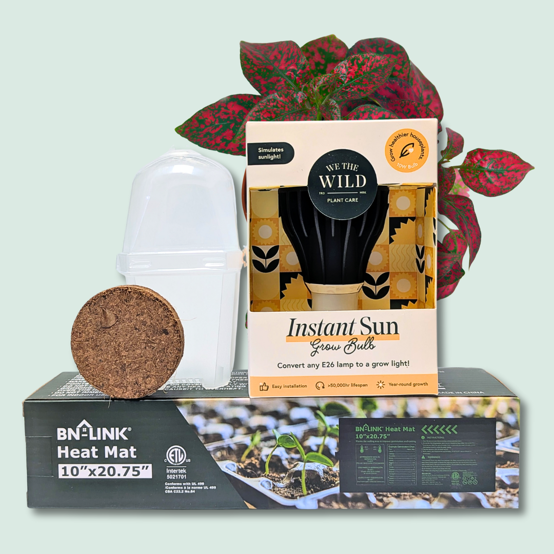 Small Seed Starter Bundle