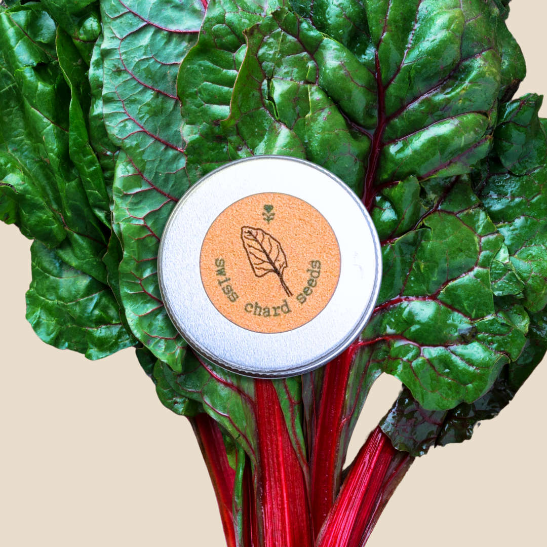 Organic Swiss Chard &