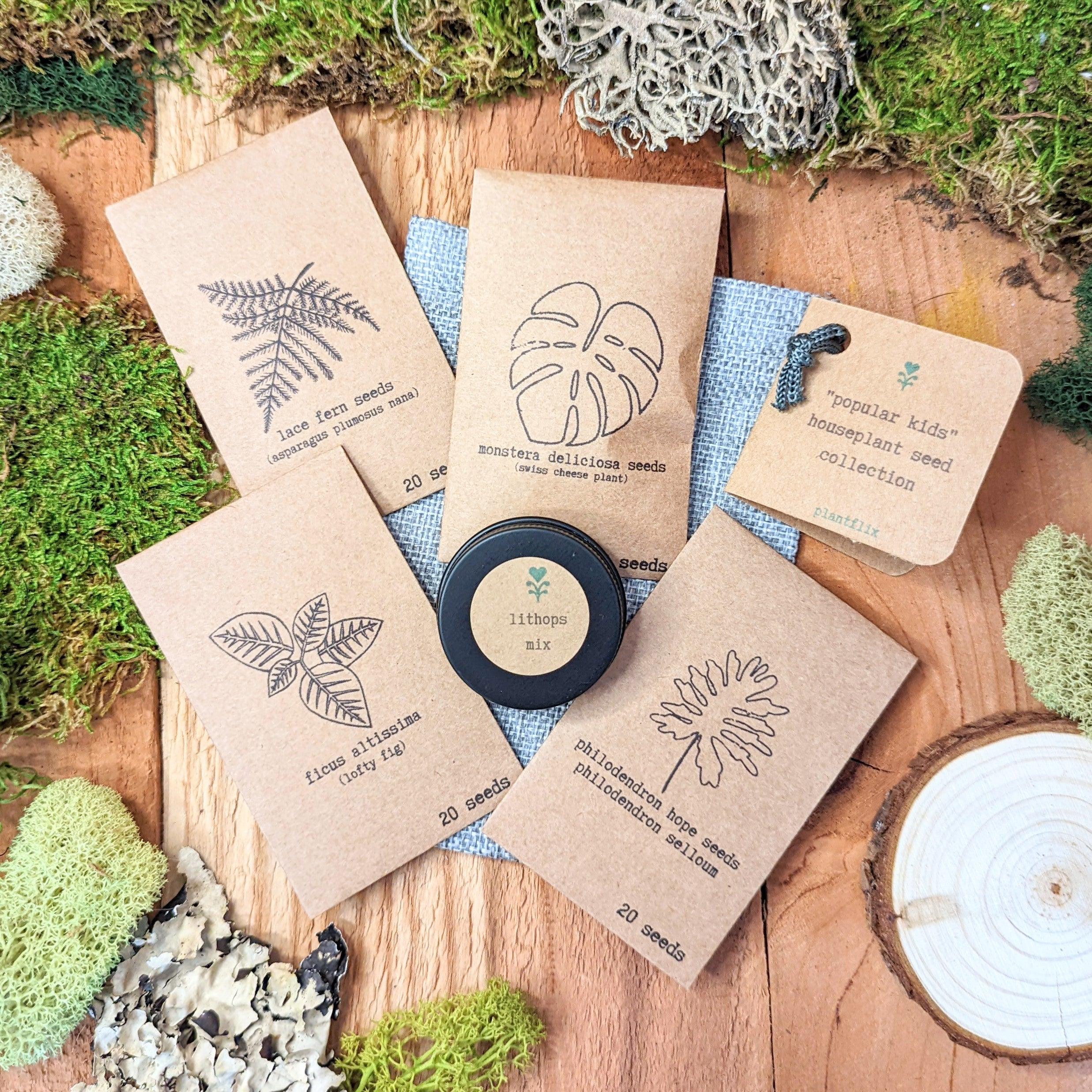 "The Popular Kids" Houseplant Seed Collection - Plantflix