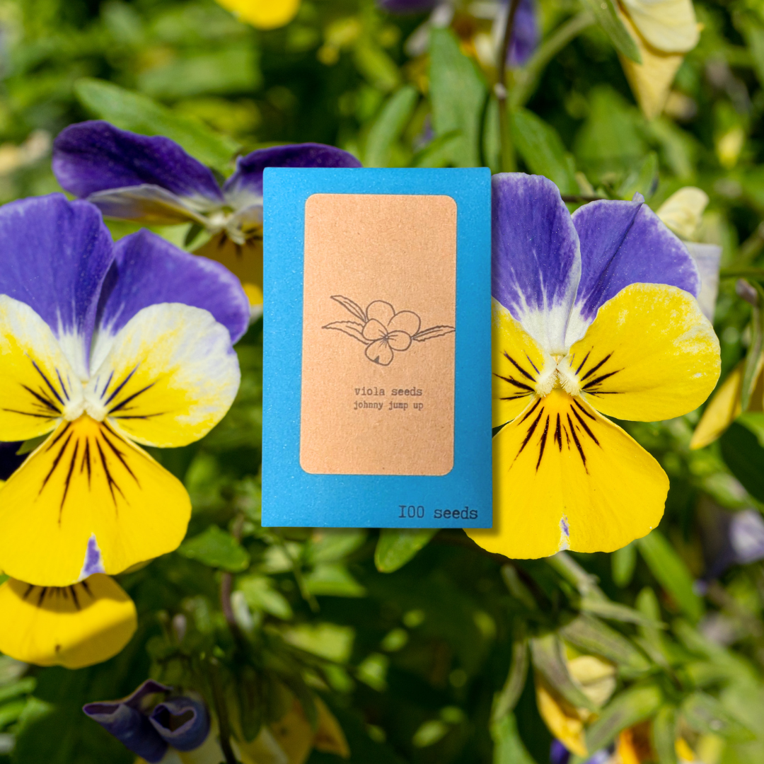Viola Johnny Jump-Up Seeds