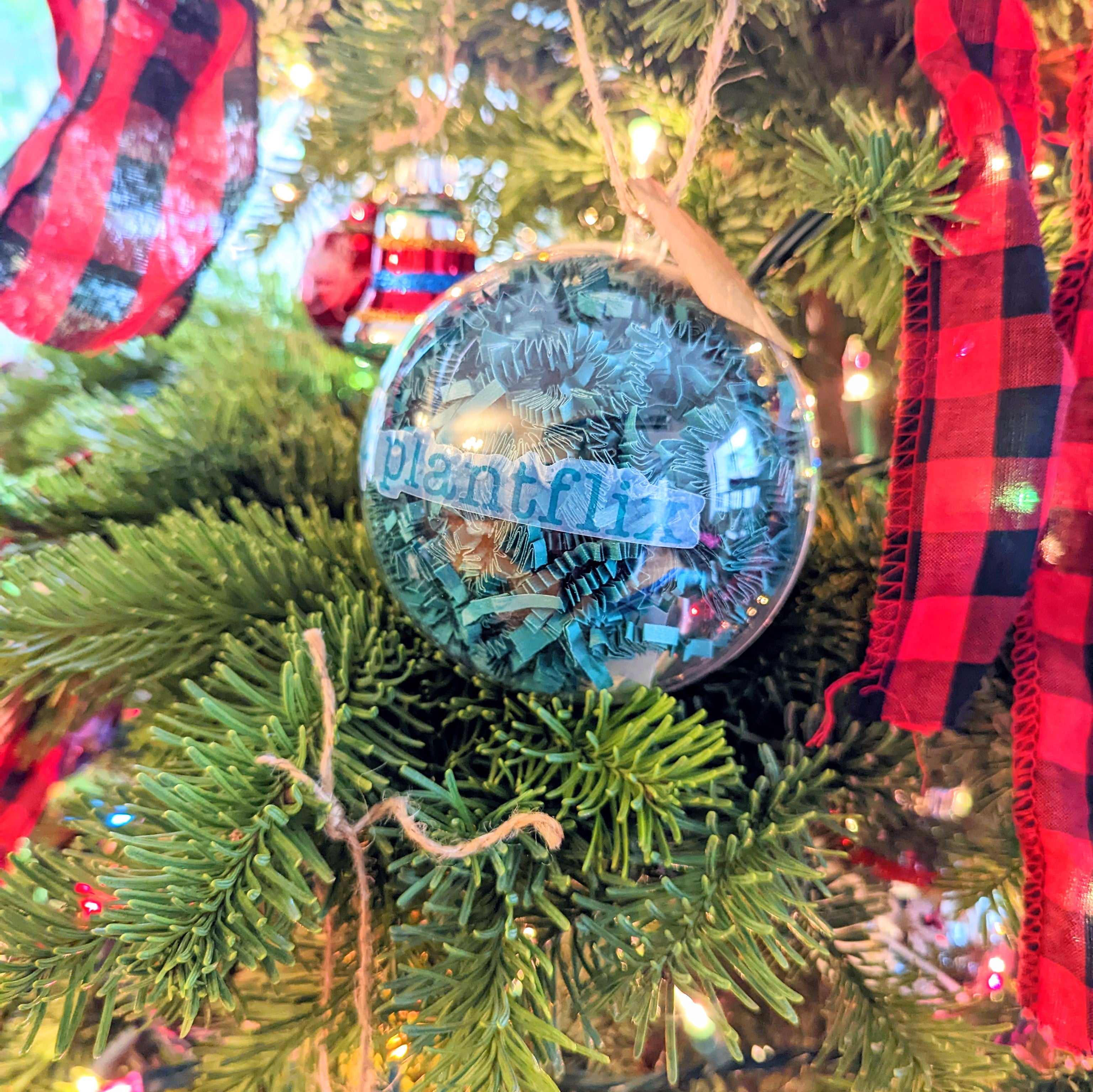 Holiday Seed Ornament