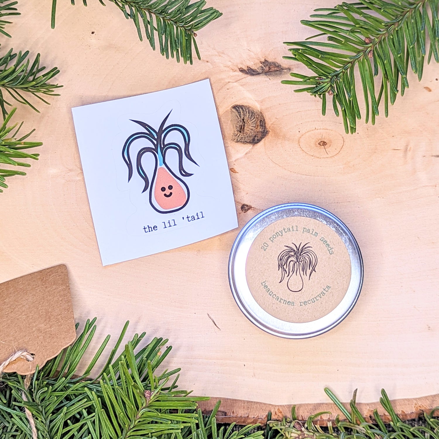 Holiday Seed Ornament