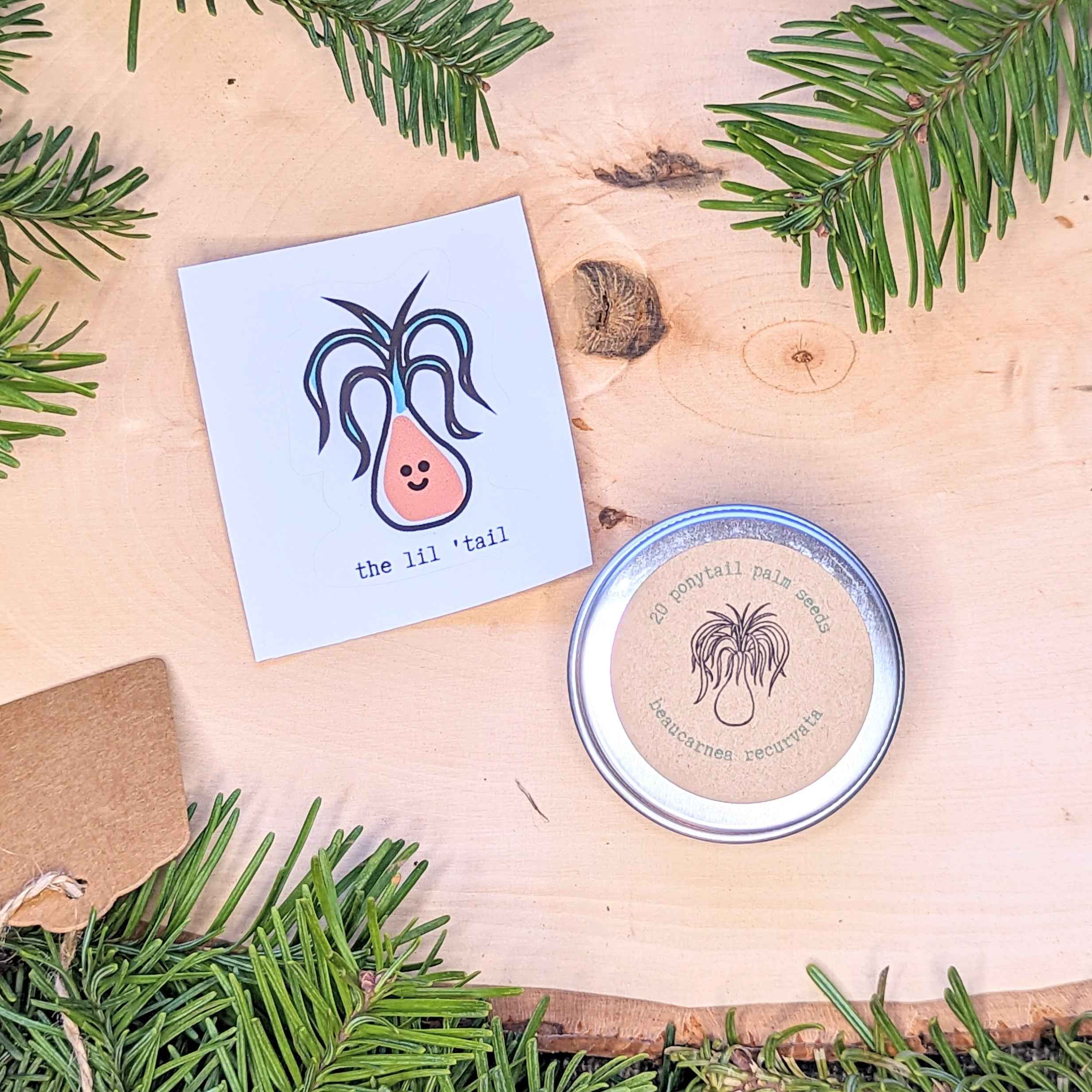 Holiday Seed Ornament