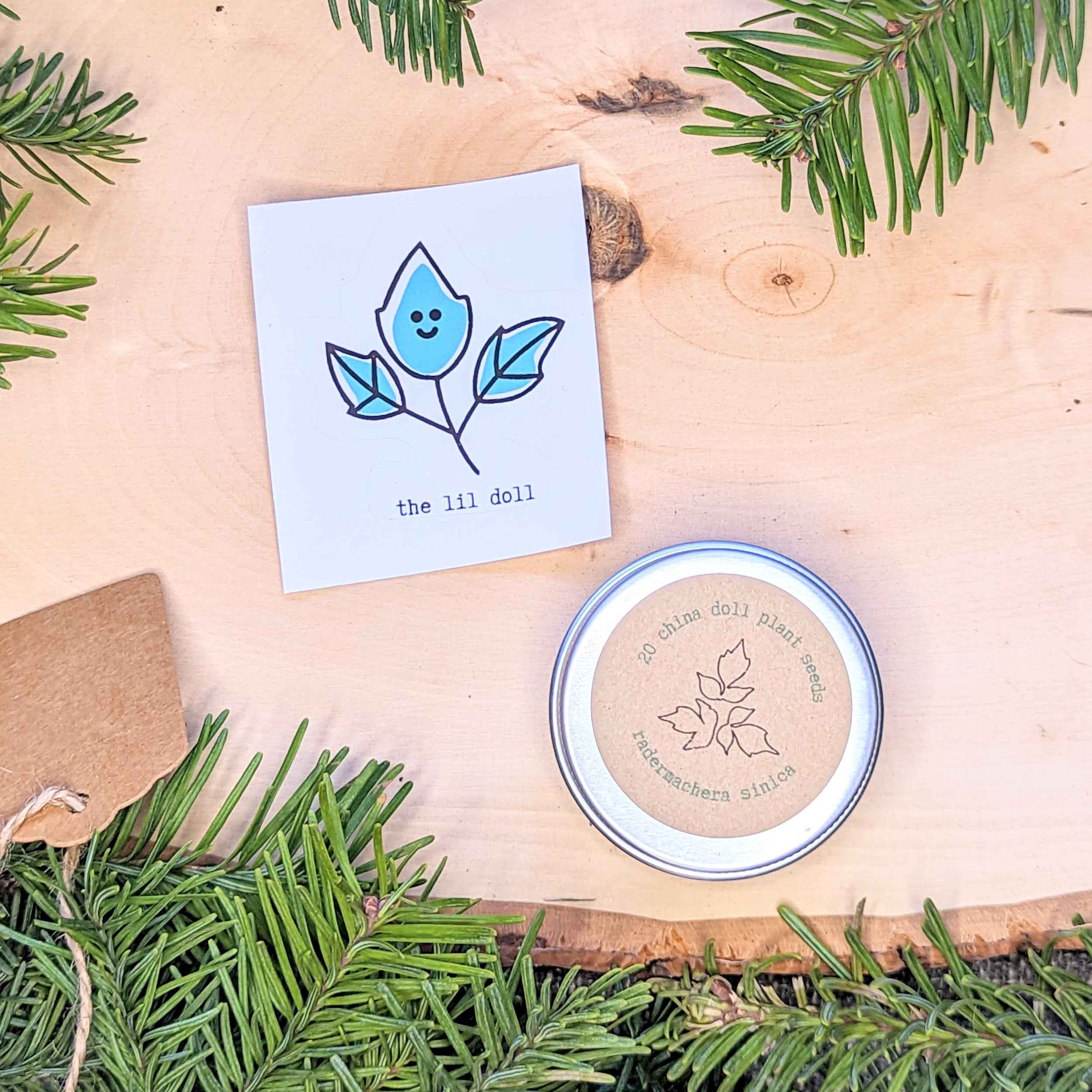 Holiday Seed Ornament