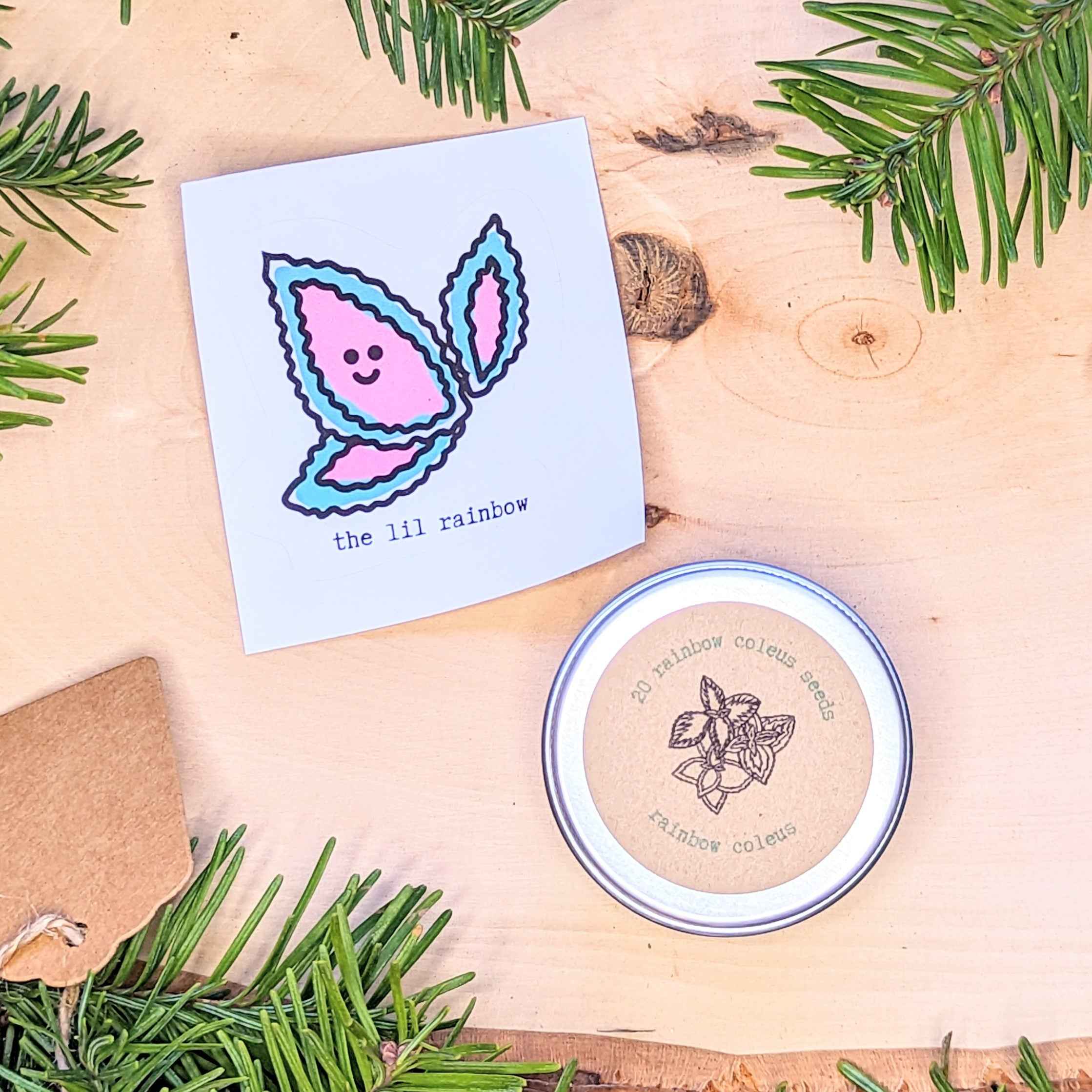 Holiday Seed Ornament