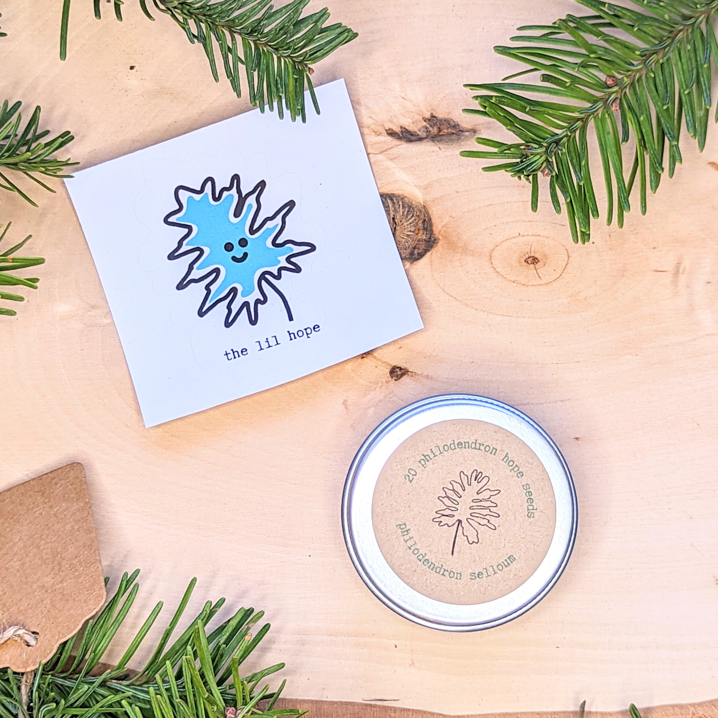 Holiday Seed Ornament