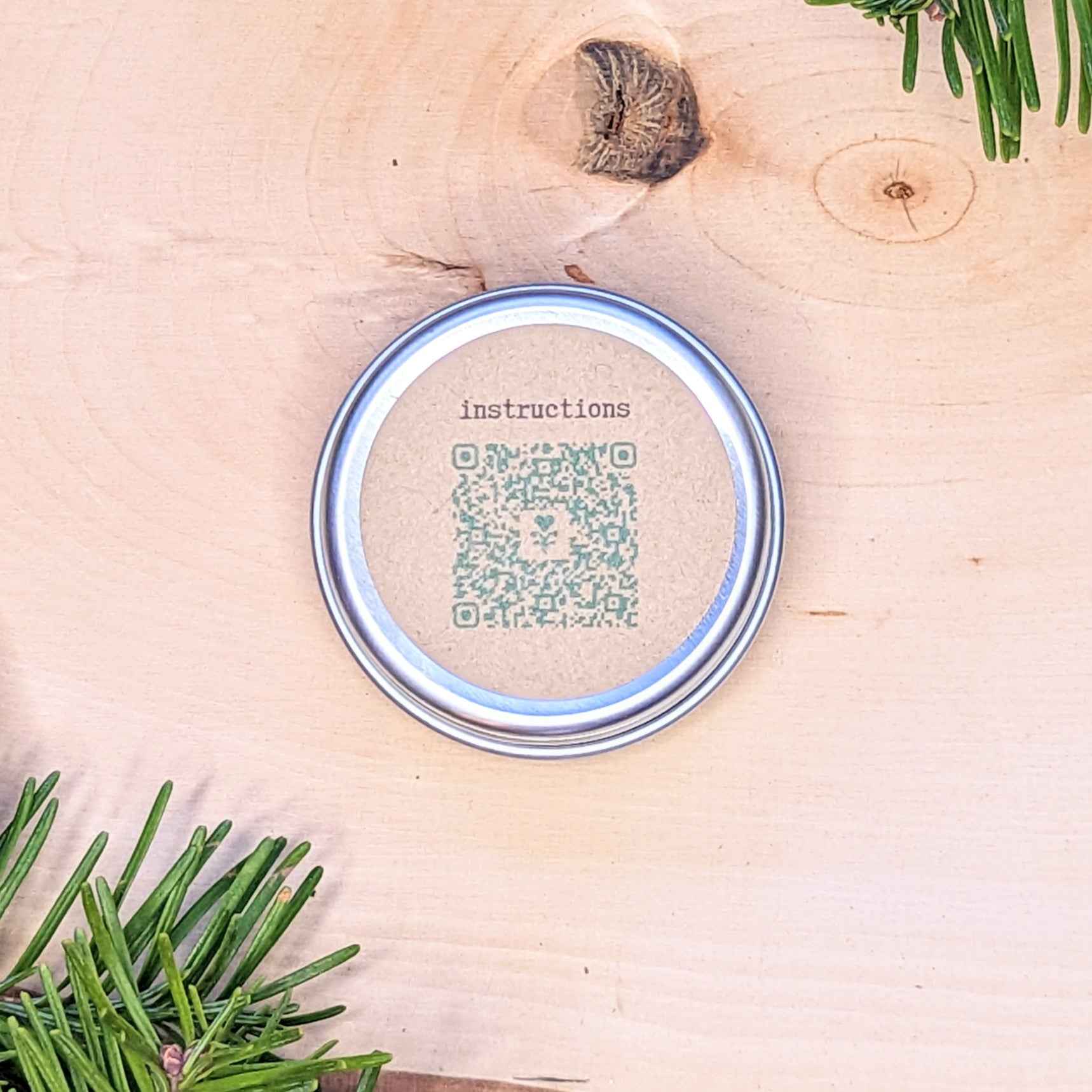 Holiday Seed Ornament