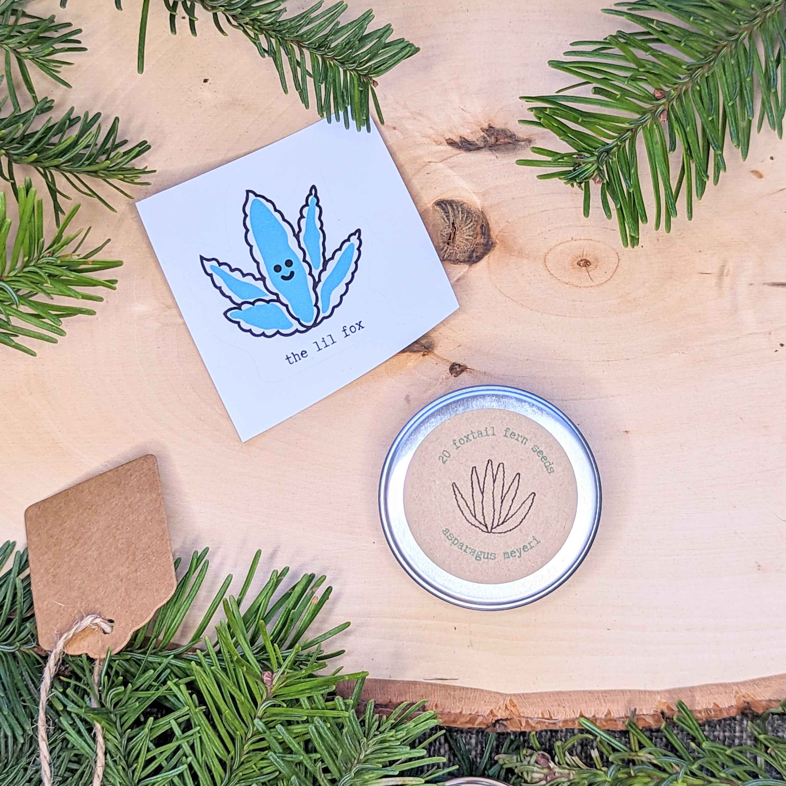 Holiday Seed Ornament