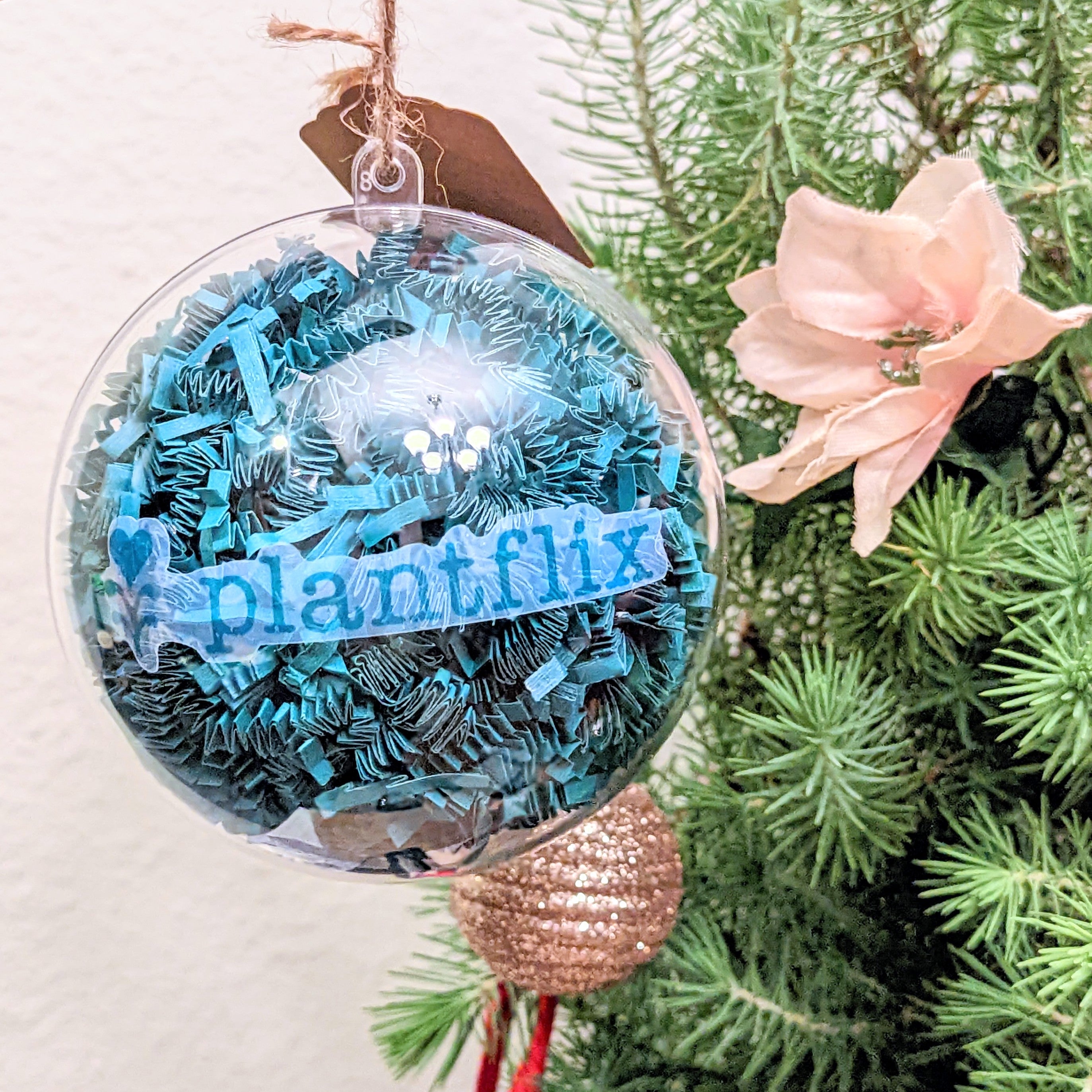 Holiday Seed Ornament