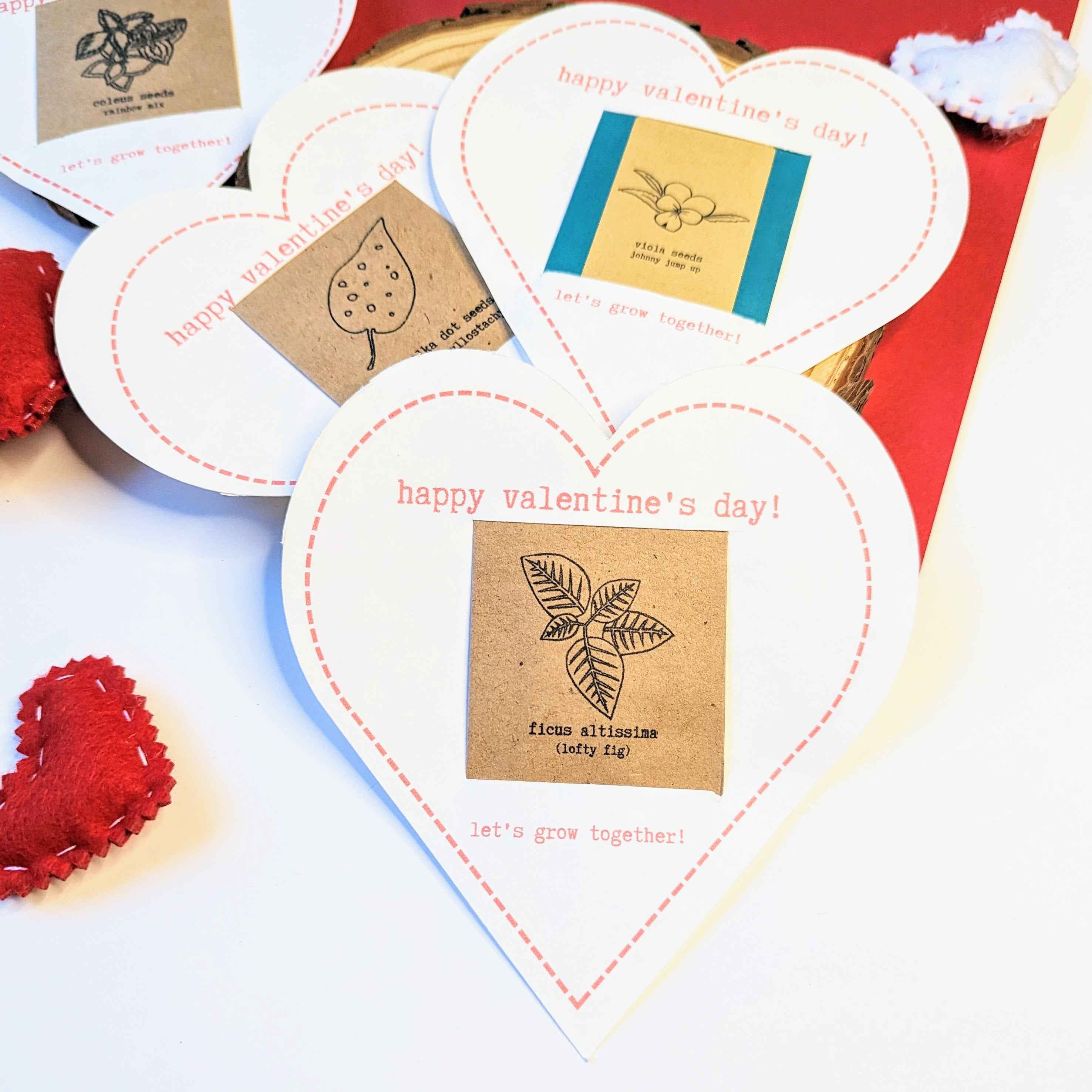 Houseplant Seed Valentine&