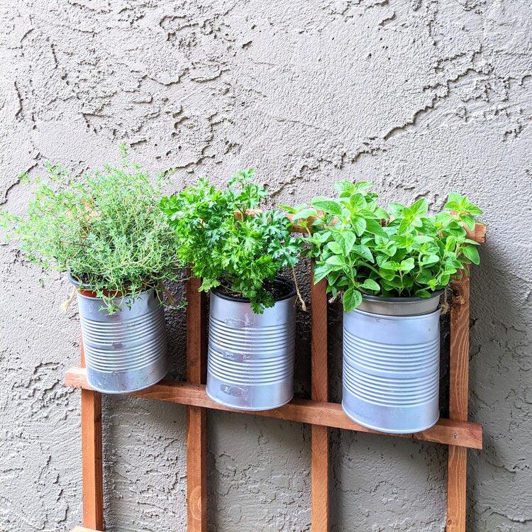 3 Easy and Budget-Friendly Vertical Gardening Setups - Plantflix