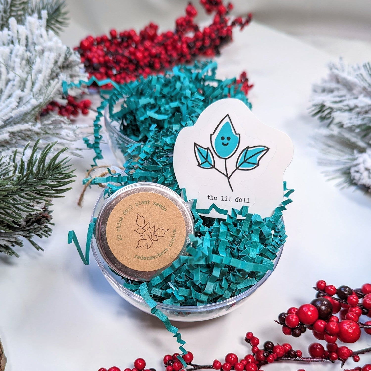 LAST CALL: Order by Dec 18th for Holiday Delivery! (And the One Gift You Can Buy 'Til Christmas Day) - Plantflix
