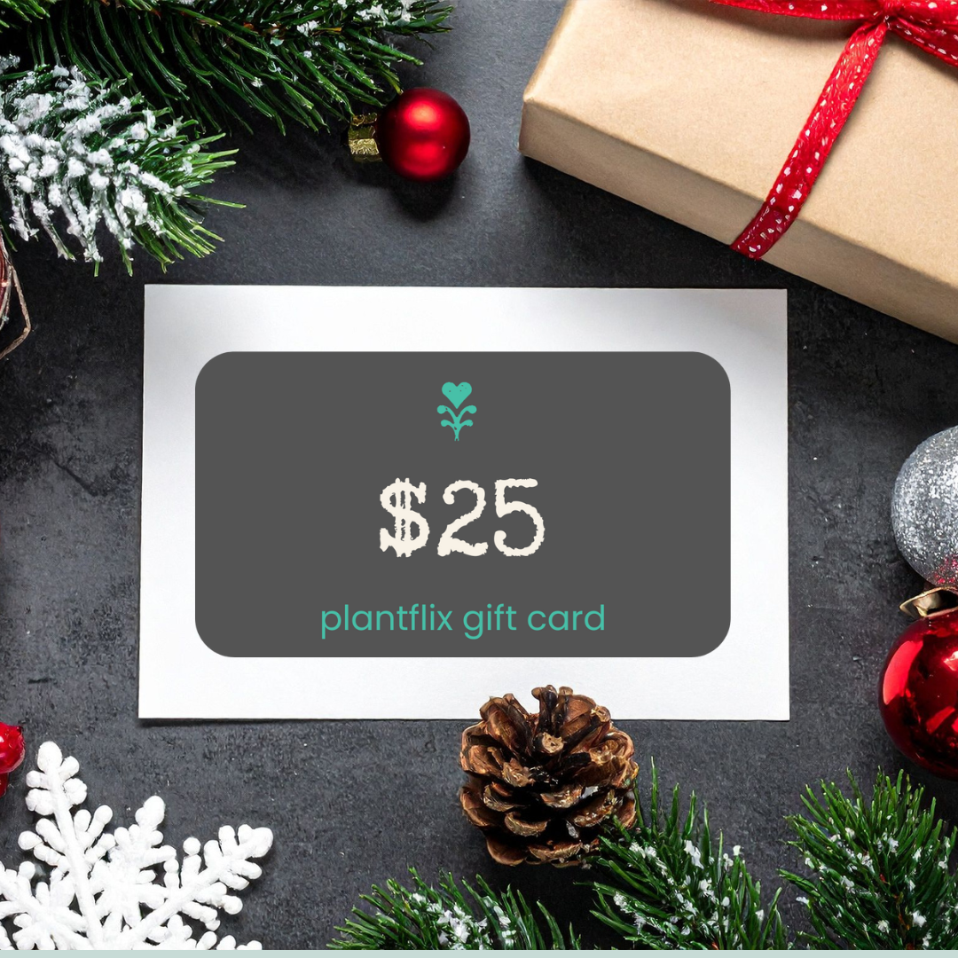 The Perfect 'Instant' Holiday Gift (And How to Start Your 2026 Grow-at-Home Project)