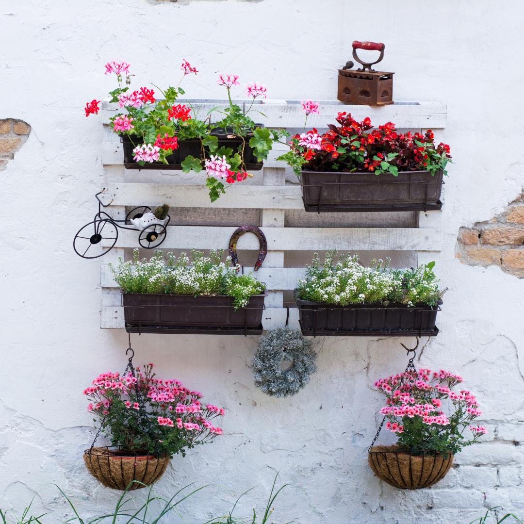 Grow Big in Small Spaces: Your Thriving Micro Garden 🌿