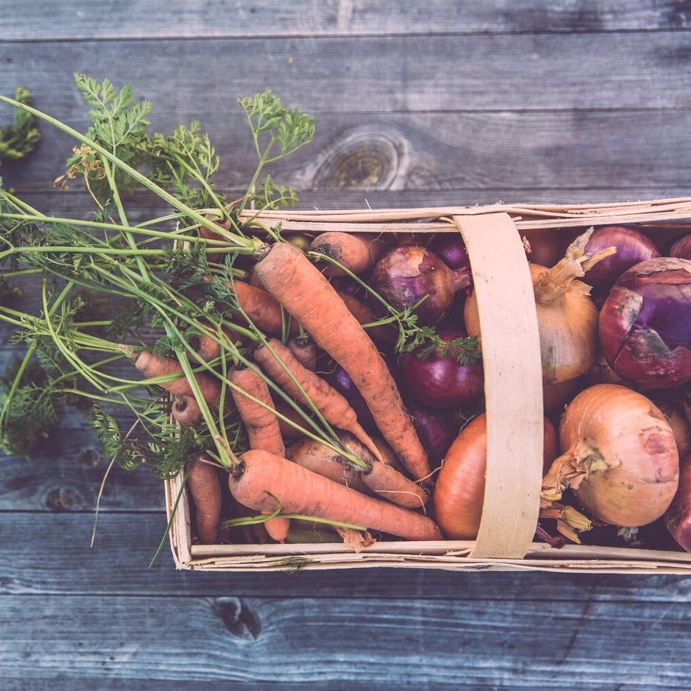Veggies to Plant in your Garden in the Fall - Plantflix
