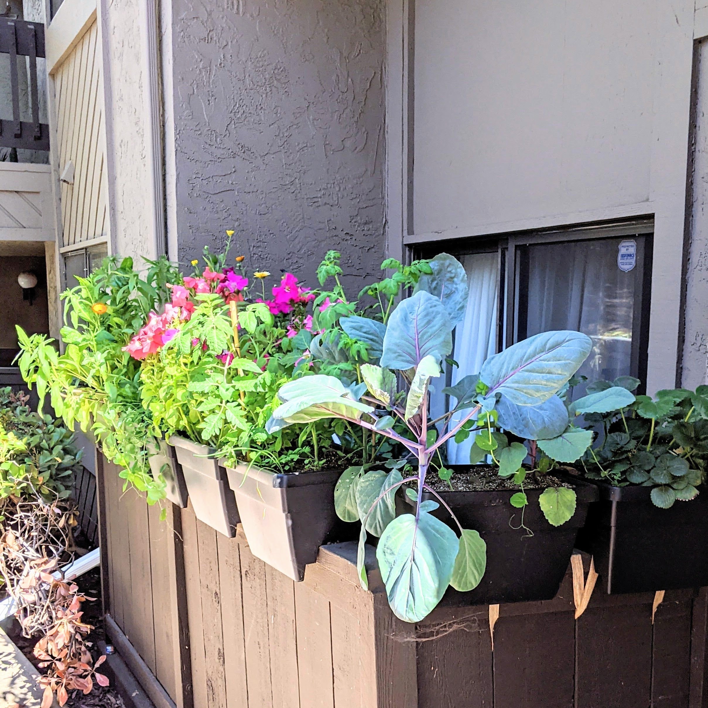 What Seeds Should You Sow in Early Spring? - Plantflix