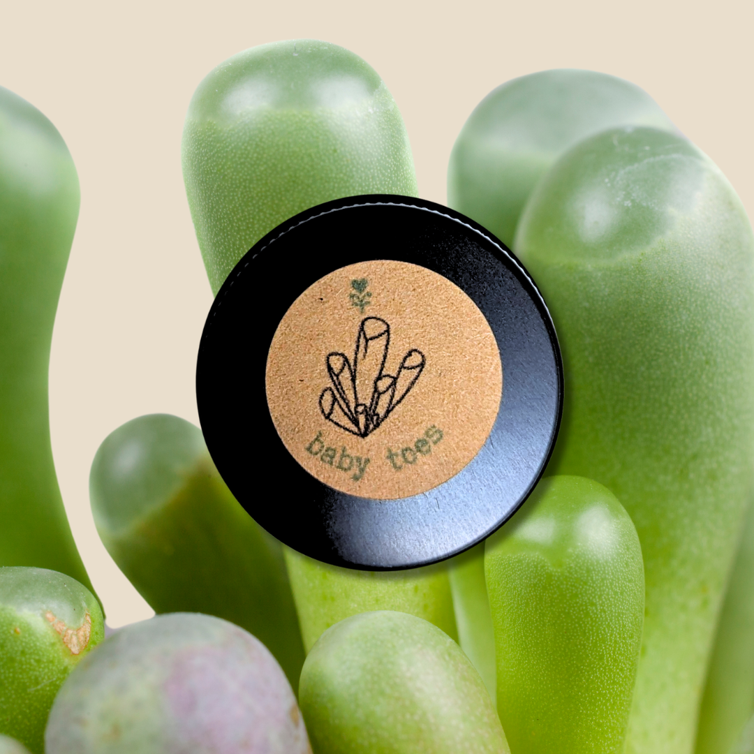 Tiny seeds - Plantflix