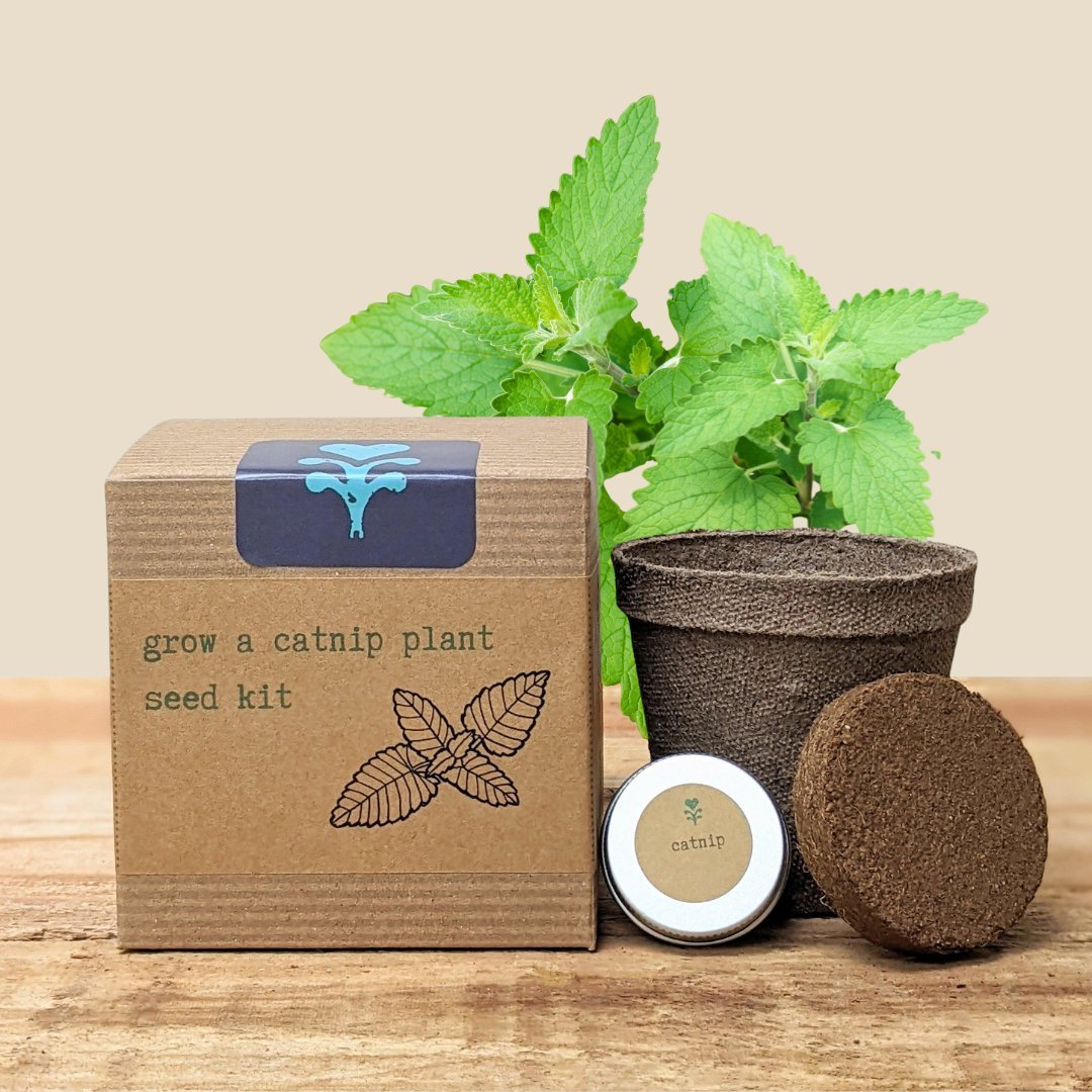 Kits - Plantflix