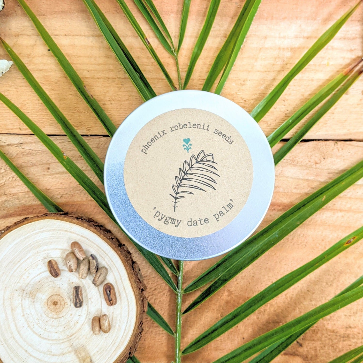 Palm &amp; Cycads &amp; Tree Seeds - Plantflix