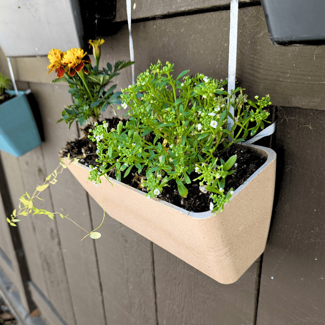 Planters - Plantflix